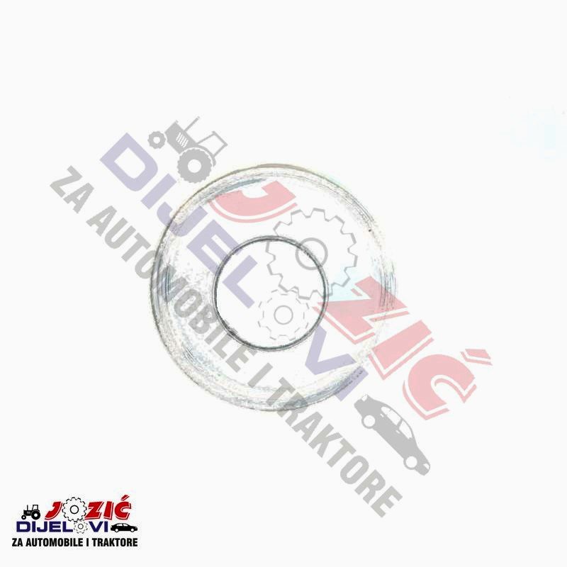 Daisy on the Ohoopee